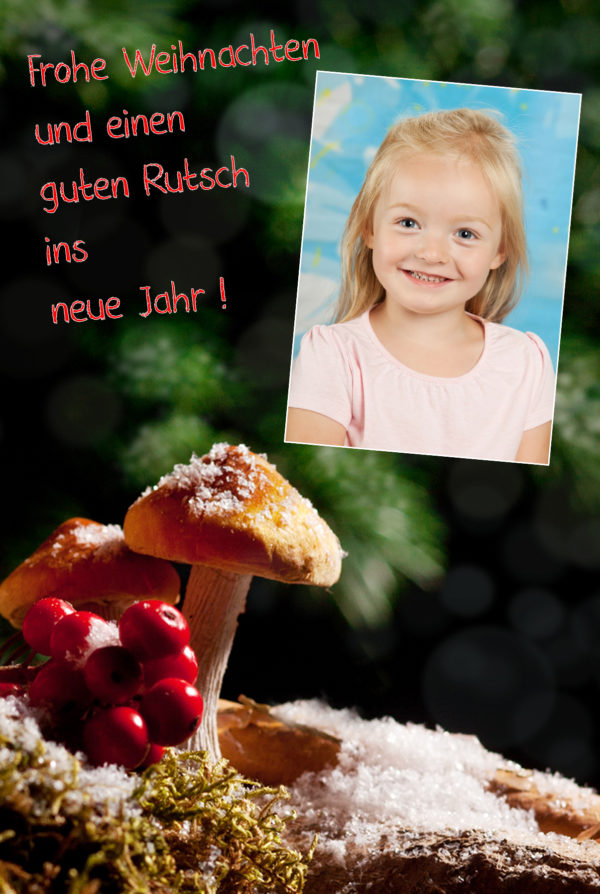 Weihnachtskarte Pilz